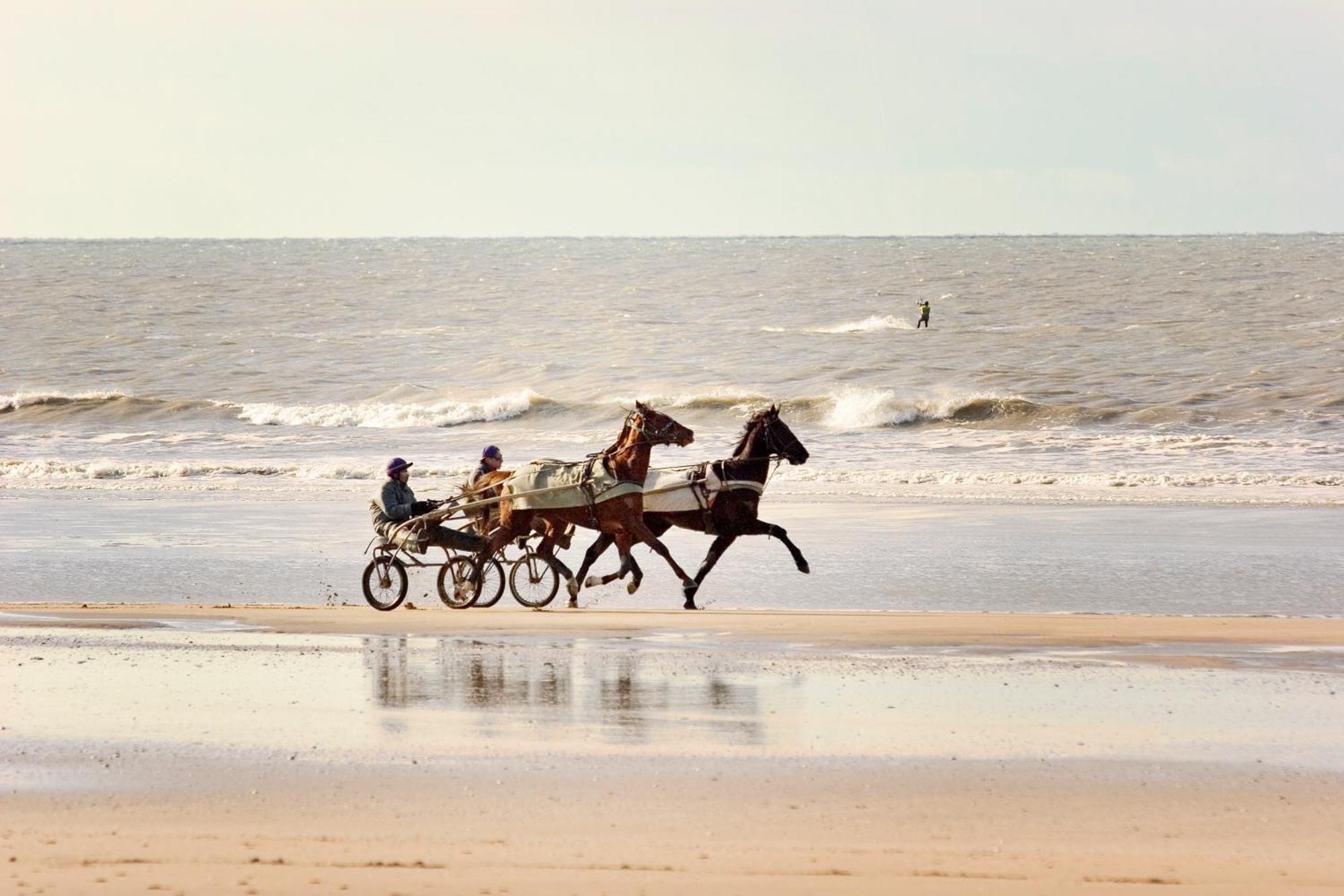 ibis budget Cabourg Dives sur Mer Eksteriør billede